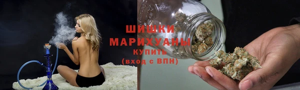 гашик Белоозёрский