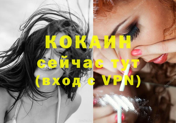 гашик Белоозёрский