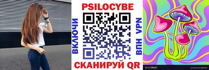 Галлюциногенные грибы Psilocybine cubensis  Окуловка 